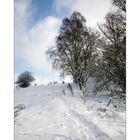 Eifel-Winter