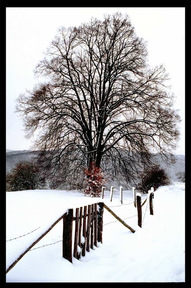 Eifel Winter