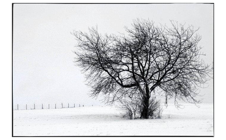 Eifel-Winter II