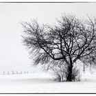 Eifel-Winter II