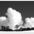 Eifel zwischen Schönau und Mahlberg