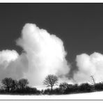 Eifel zwischen Schönau und Mahlberg