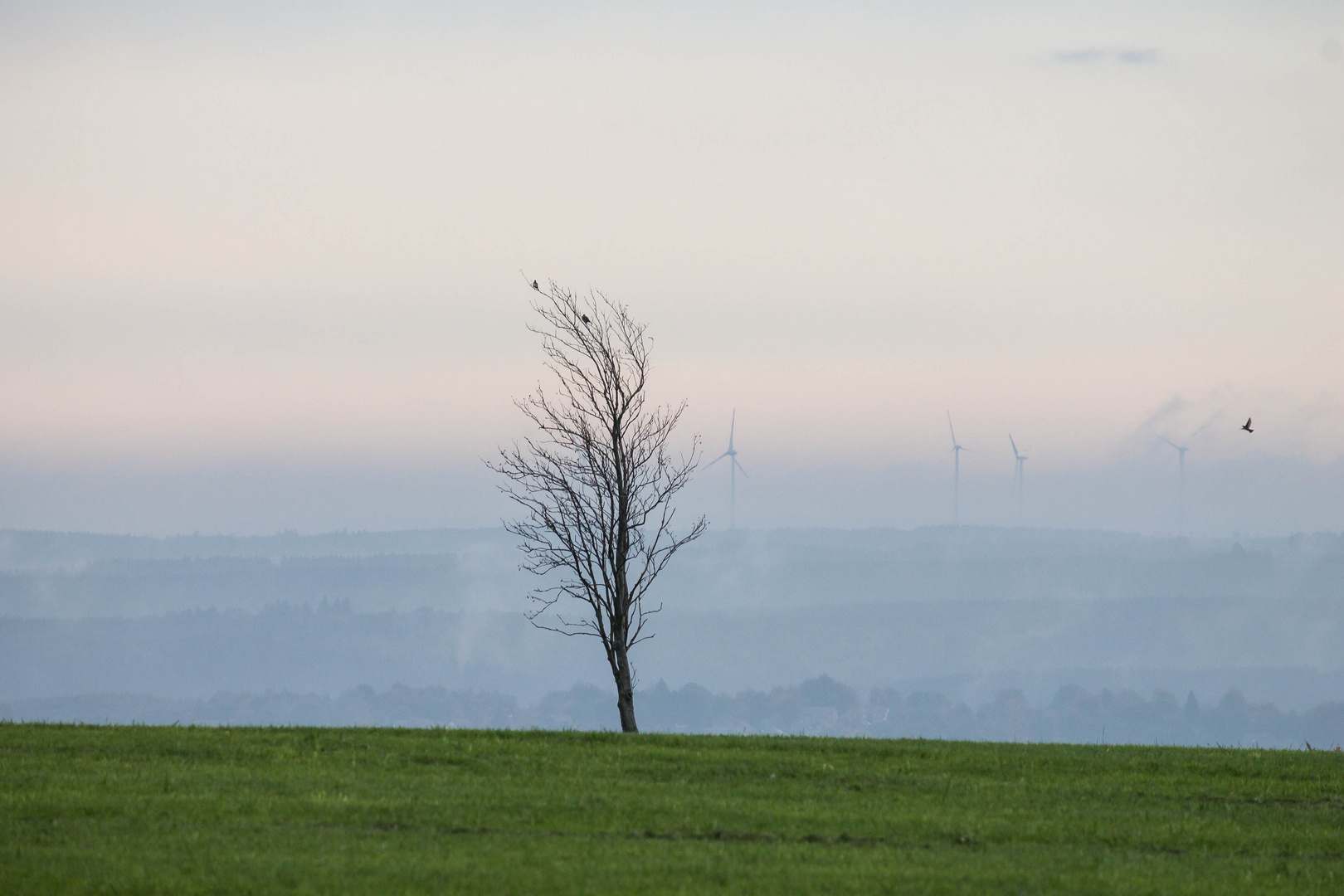 Eifelblick