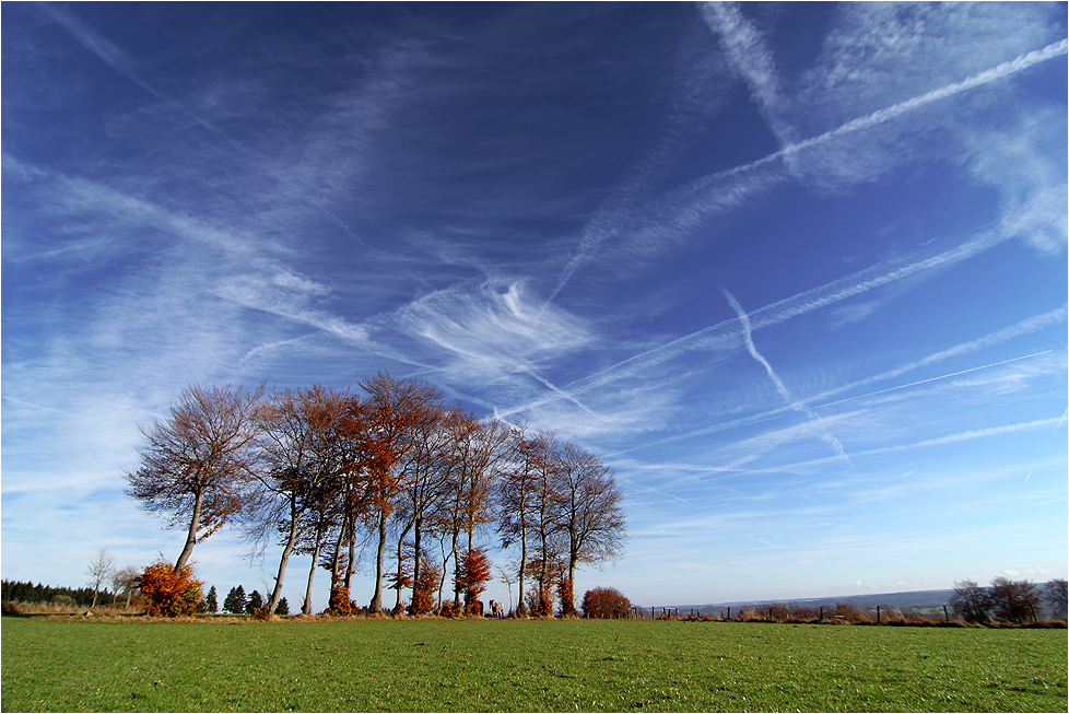 ~ Eifelblick ~