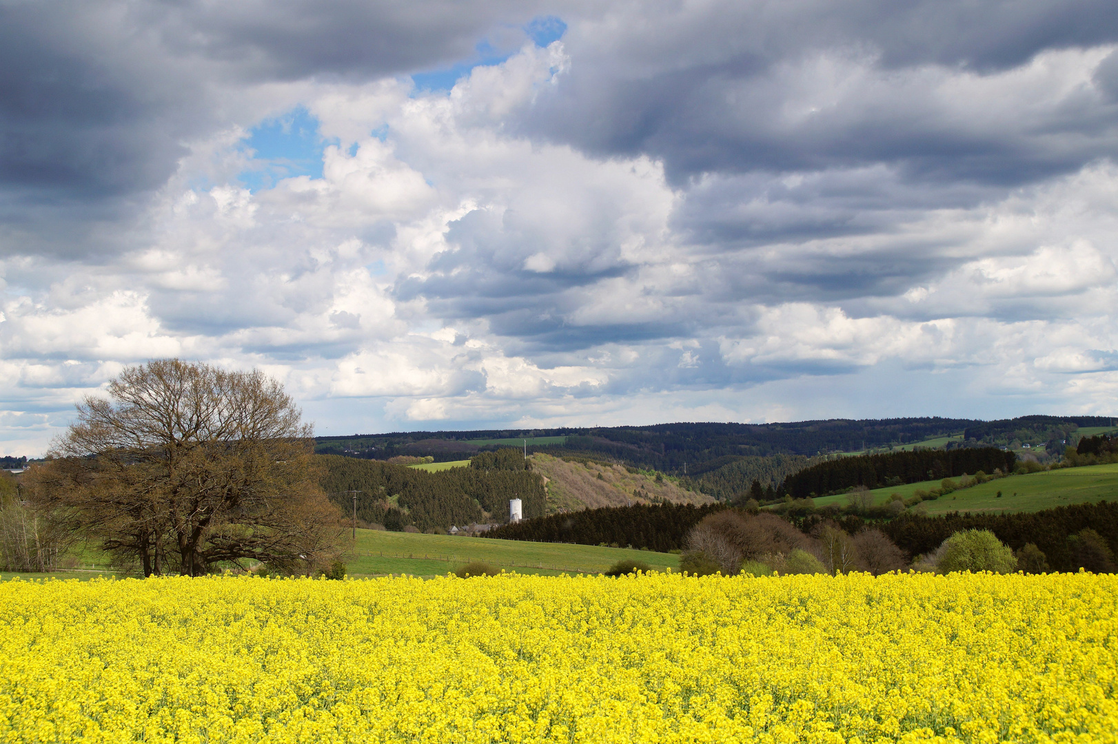 Eifelblick