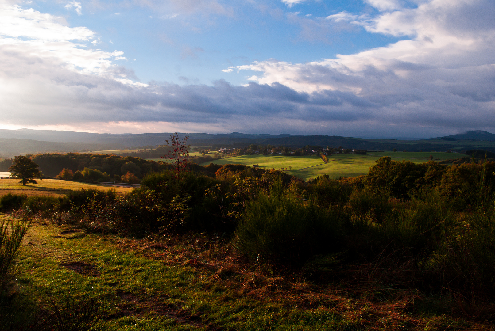 Eifelblick