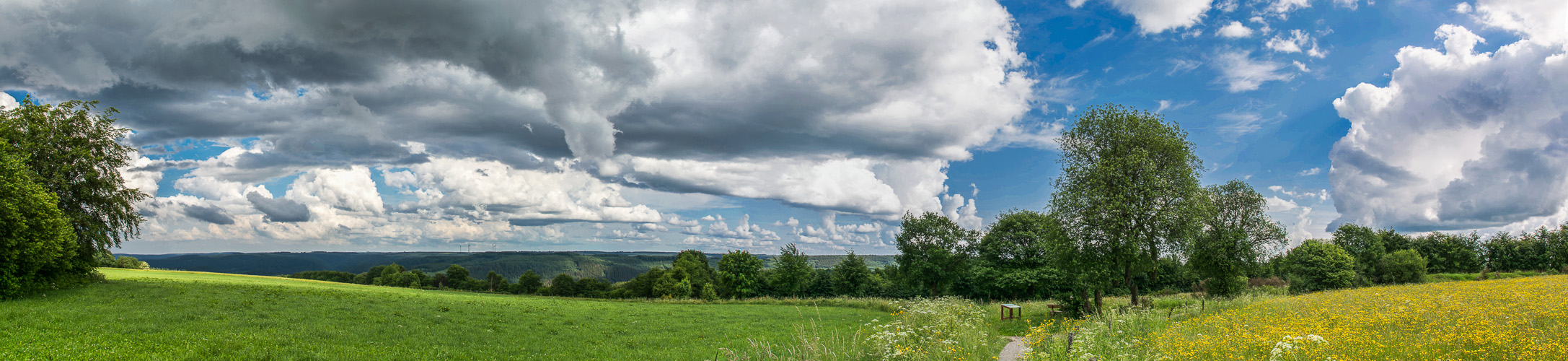 Eifelblick