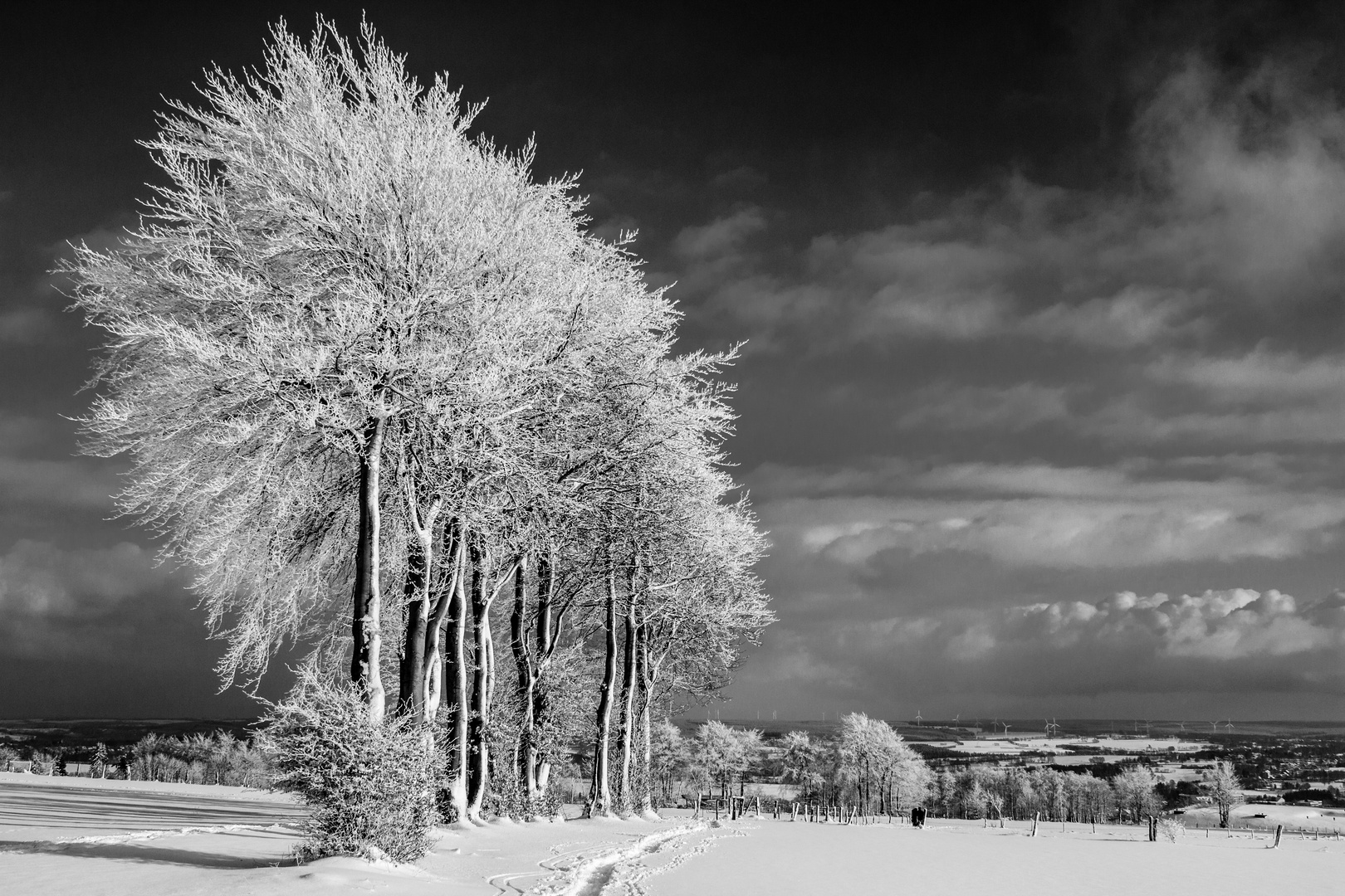 Eifelblick-ungefiltert