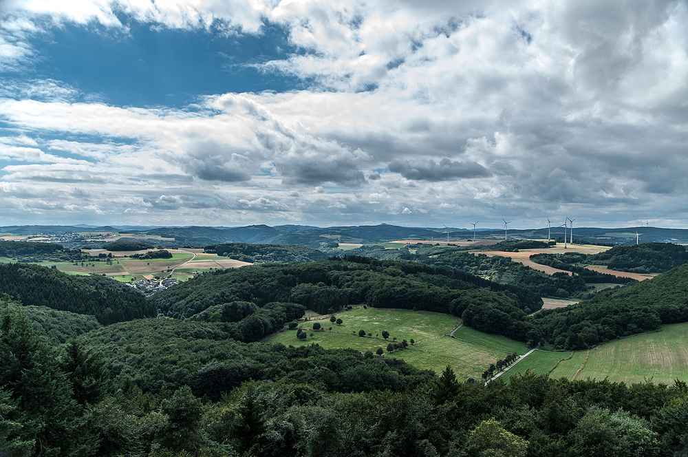 Eifelblick vom Gänsehalsturm