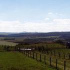 Eifelblick von Freilingen-Eifel in Richtung Gerolstein