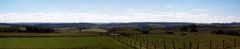 Eifelblick von Freilingen-Eifel in Richtung Gerolstein