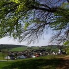 Eifeldörfer - manchmal passen sie unter einen Baum