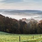 Eifeler Herbstmorgen #2