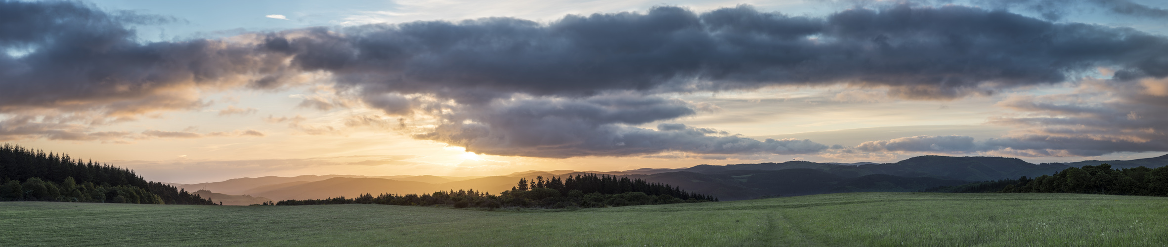 Eifeler Morgenspaziergang #1