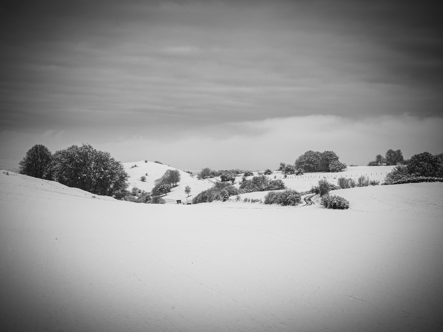 Eifeler Winterlandschaft