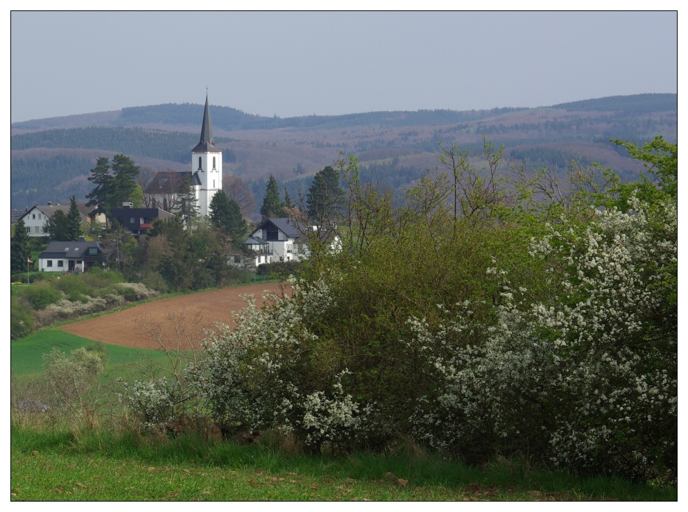 Eifelfrühling #1