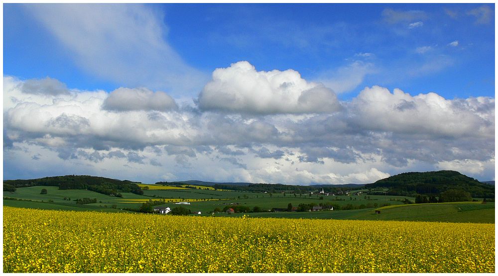 Eifelfrühling