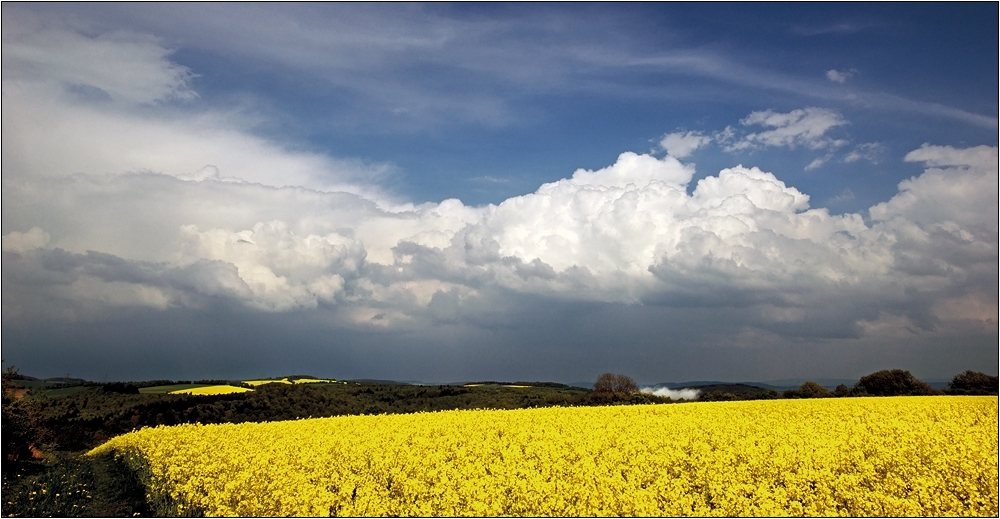 Eifelfrühling 2014