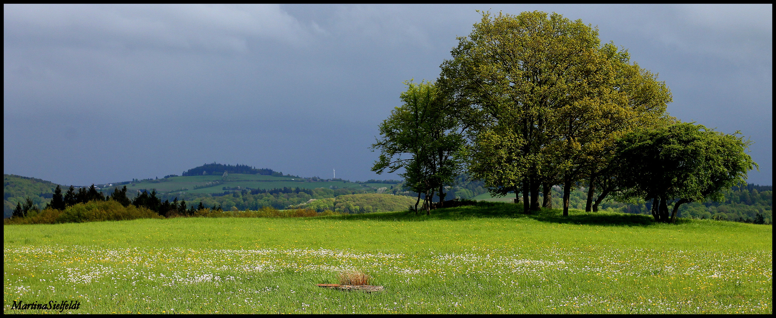 Eifelfrühling