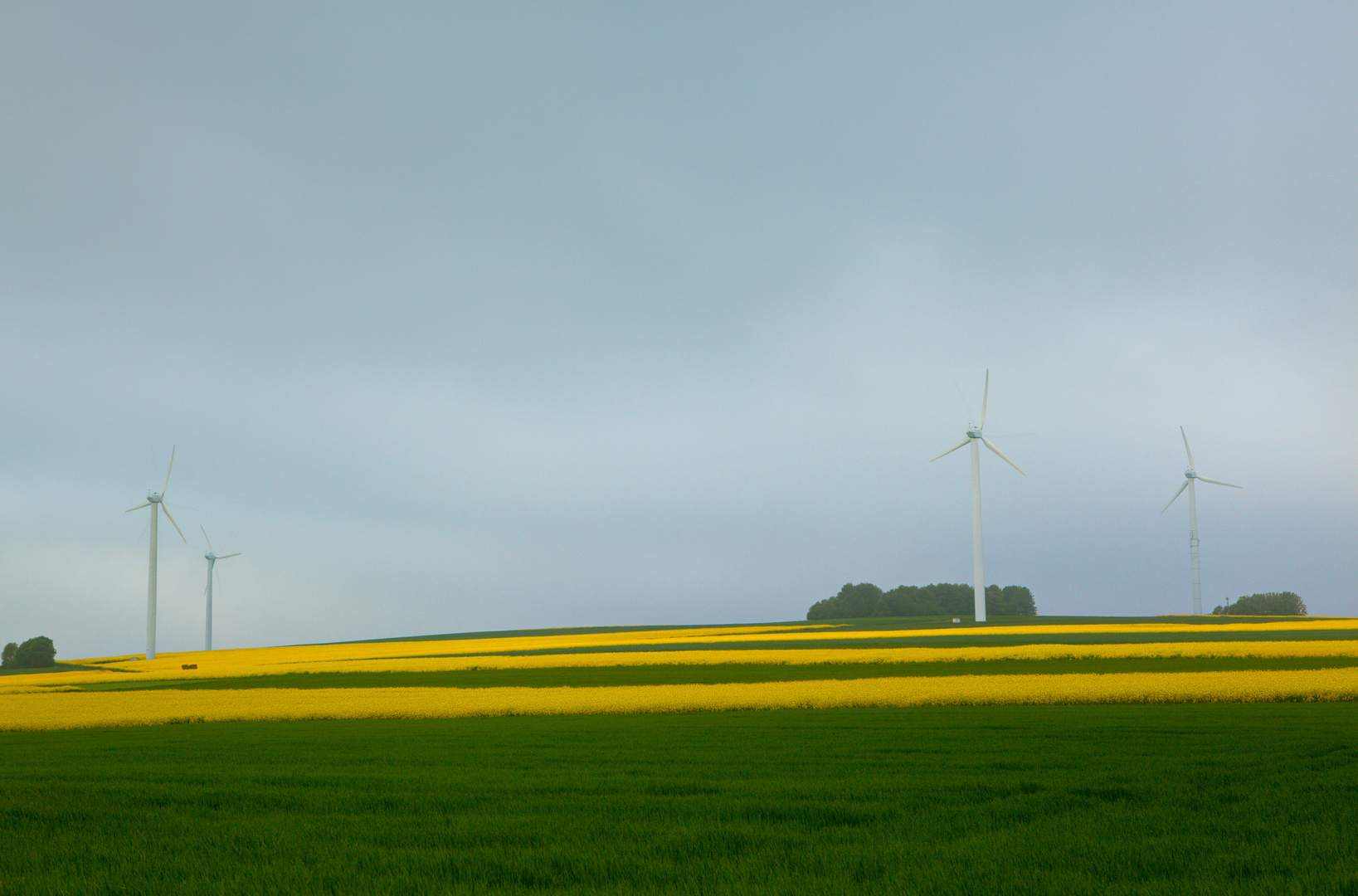 Eifelfrühling