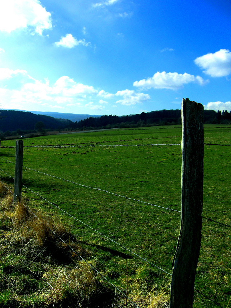 Eifelfrühling