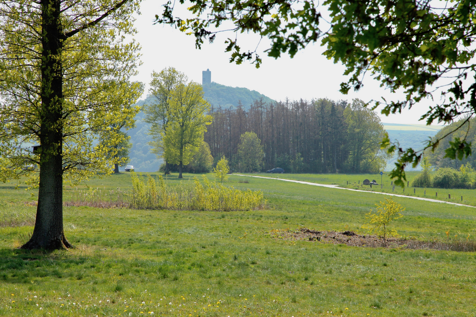 Eifelfrühling