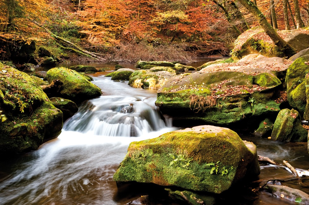 Eifelherbst 2