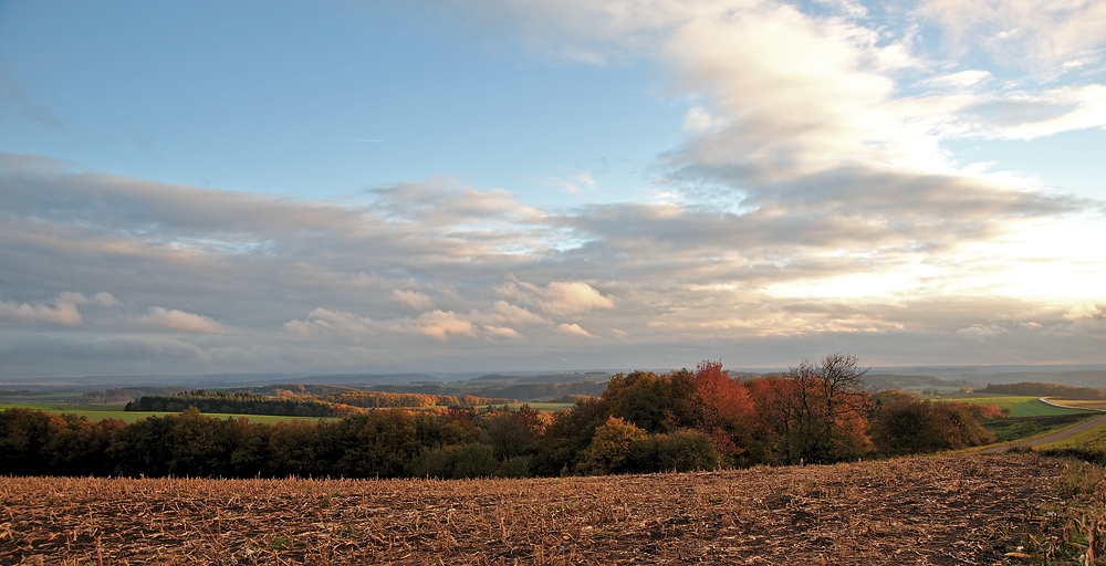 Eifelherbst 2010 I