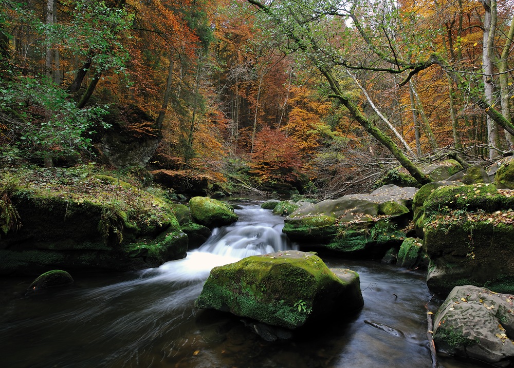 Eifelherbst 2010 II