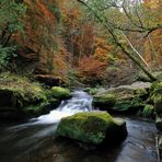 Eifelherbst 2010 II