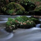 Eifelherbst 2010 III