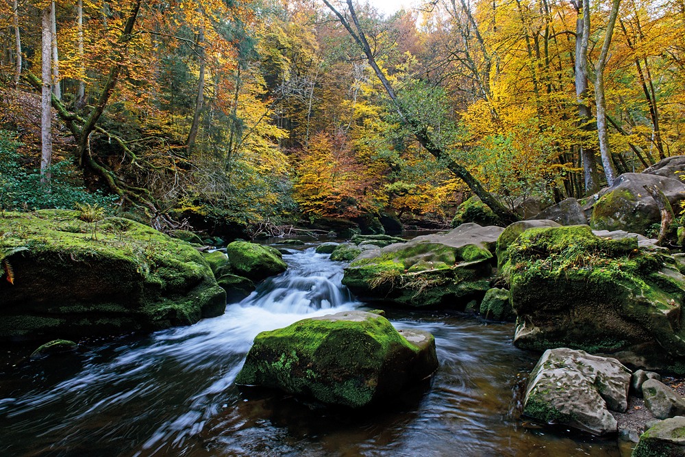 Eifelherbst 2015