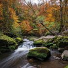 Eifelherbst 2016