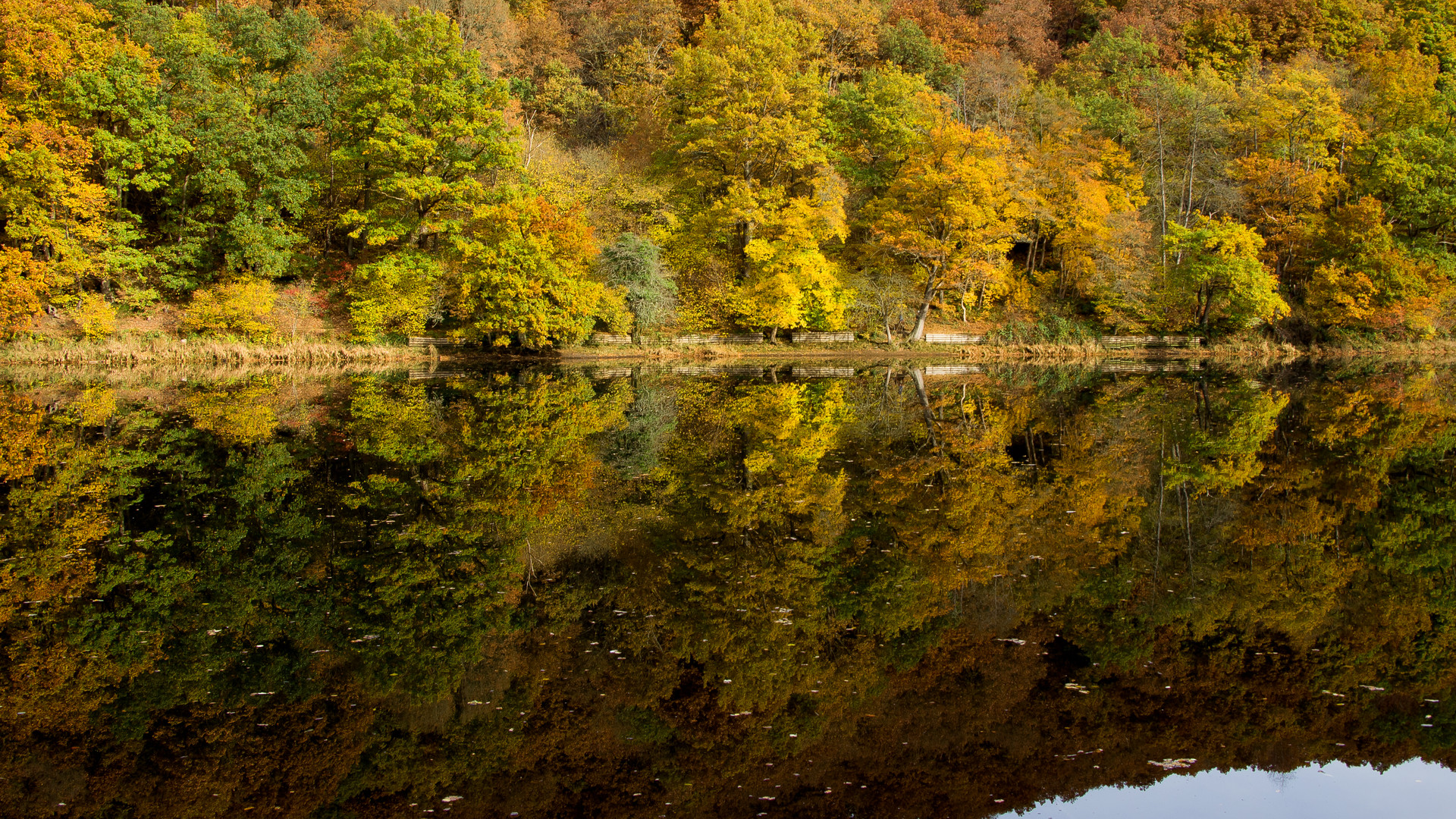 Eifelherbst