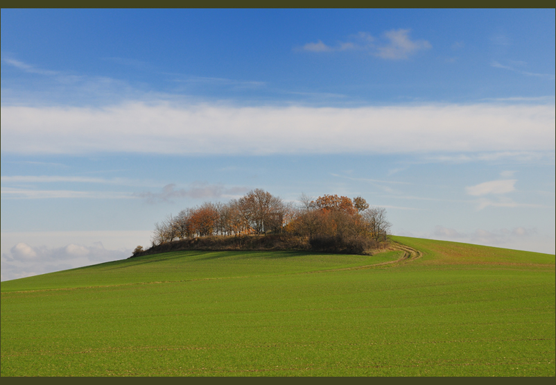 Eifellandschaft / bei Polch