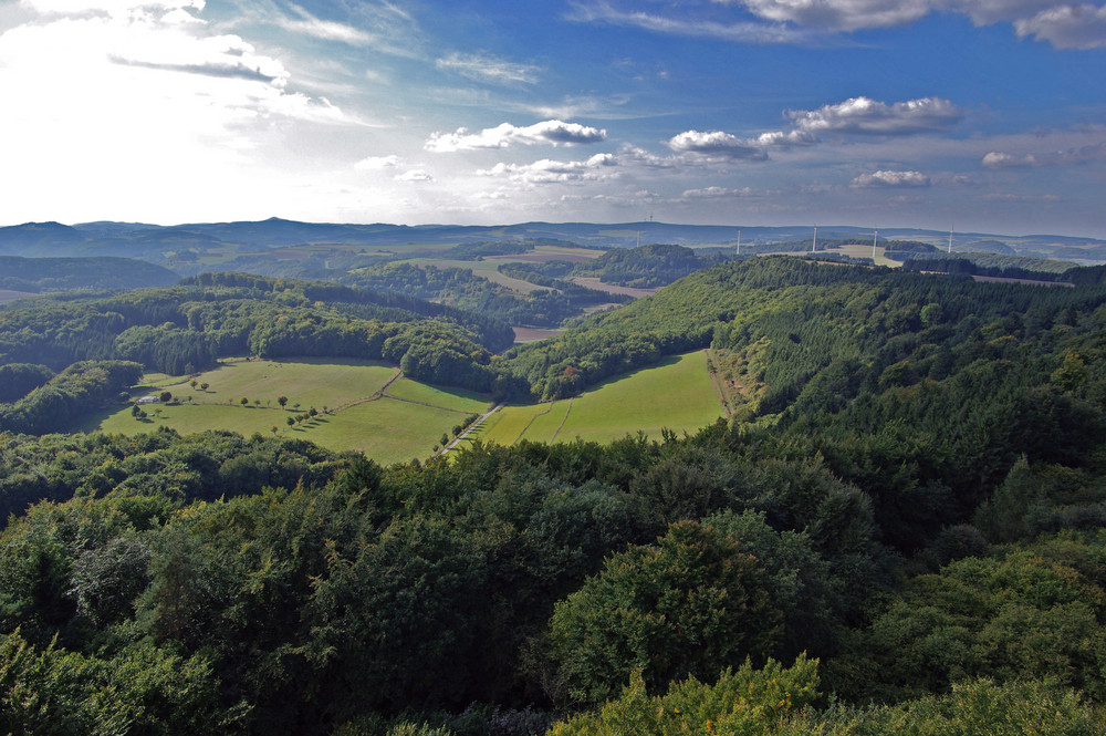 Eifellandschaft (Blick vom Gänsehalsturm bei Bell)