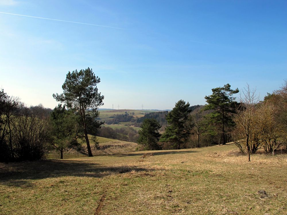 Eifellandschaft im Vorfrühling