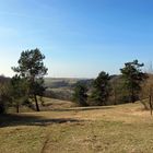 Eifellandschaft im Vorfrühling