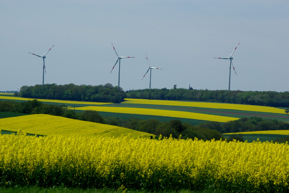 Eifellandschaft mit "Windmühlen unserer Zeit"