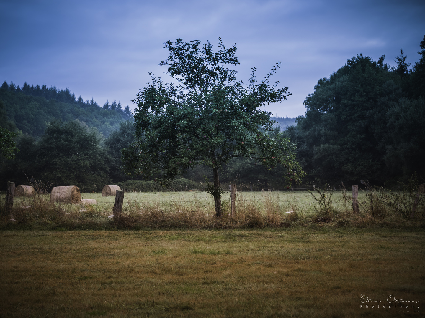 Eifelmorgen