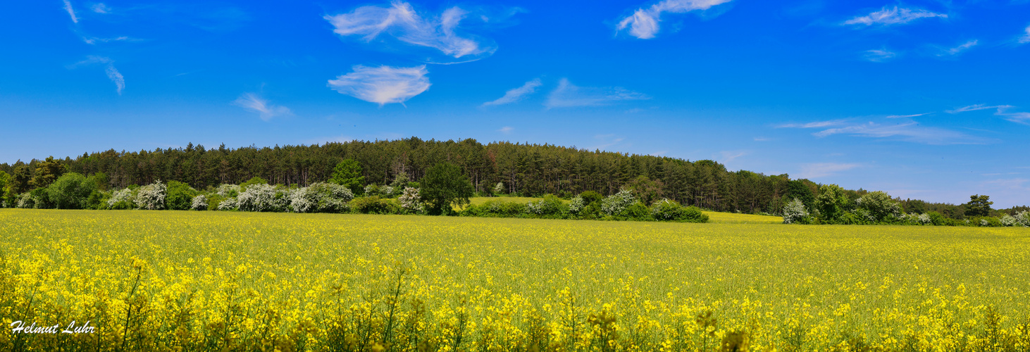 Eifelpanorama . . .