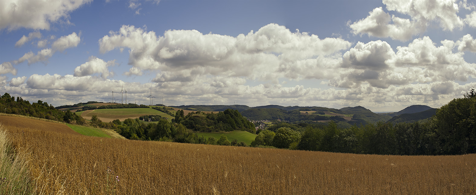 Eifelpanorama