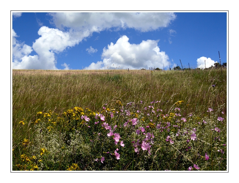 Eifelsommer