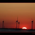 Eifelsonne um 6:45 Uhr