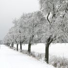 Eifelsteig im Winter