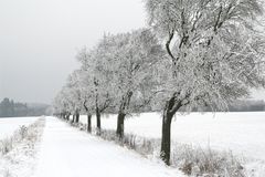 Eifelsteig im Winter