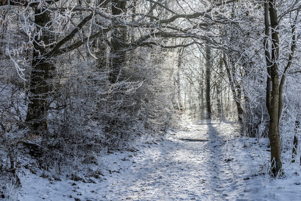 *Eifelsteig-Winter*