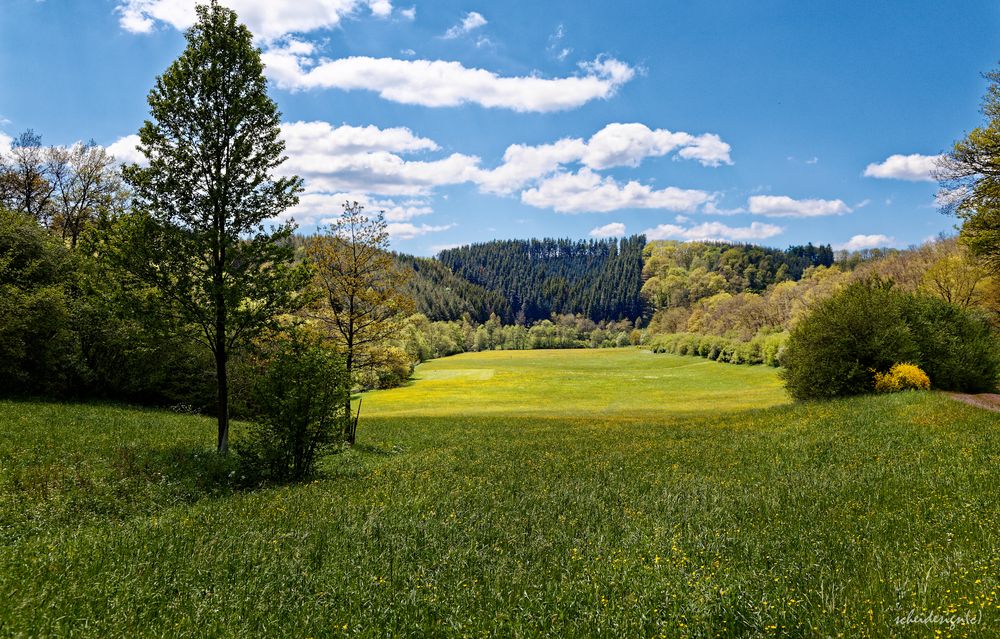 Eifeltal im Frühling