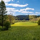 Eifeltal im Frühling