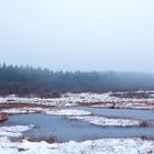 Eifeltour - Fototour Naturpark Hohes Venn-Eifel